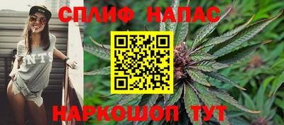 СК Обь