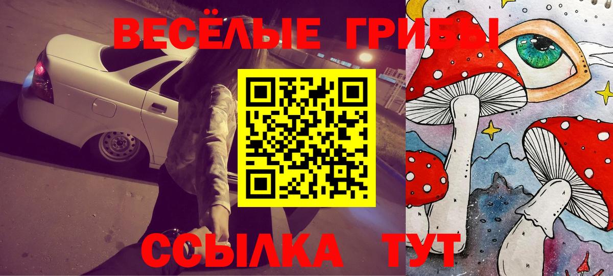 Псилоцибиновые грибы Psilocybe  Псилоцибиновые грибы мухоморы  Вход с VPN  Сердобск 